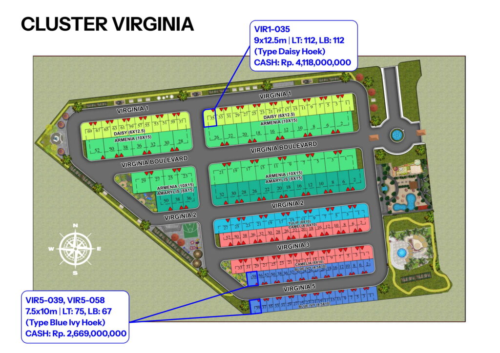 VIRGINIA PIK2 20250603