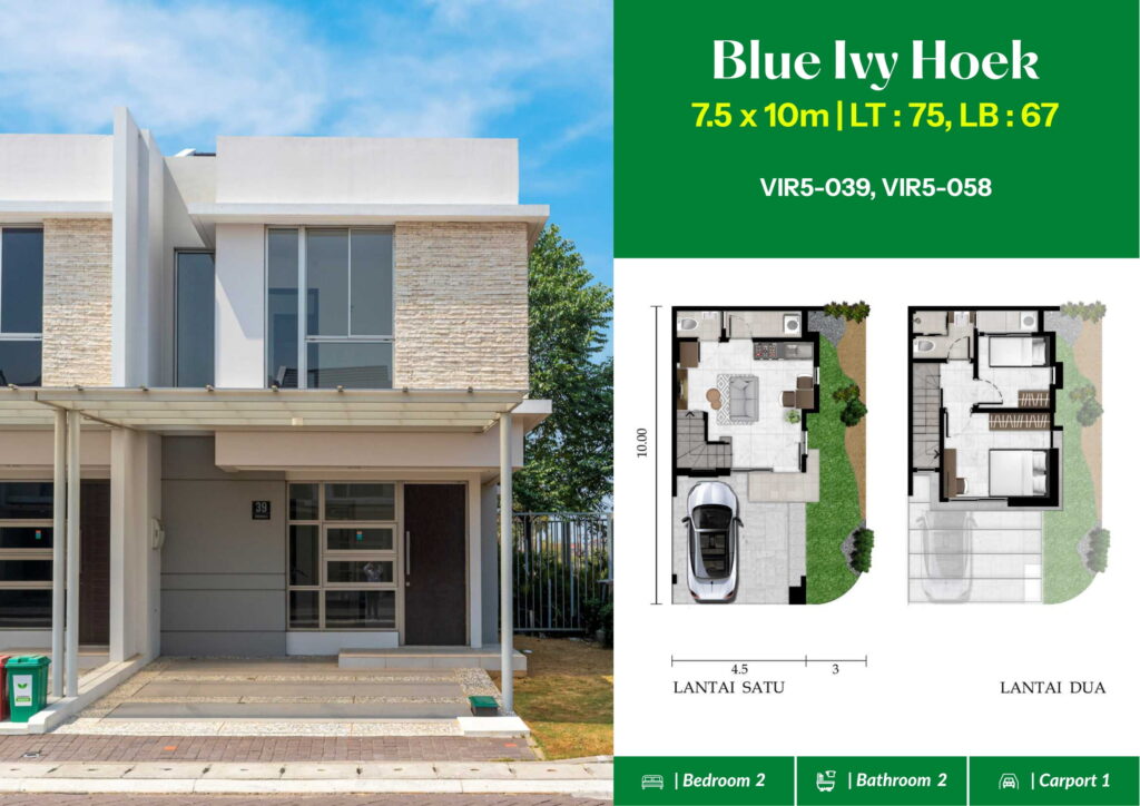 VIRGINIA PIK2 20250603