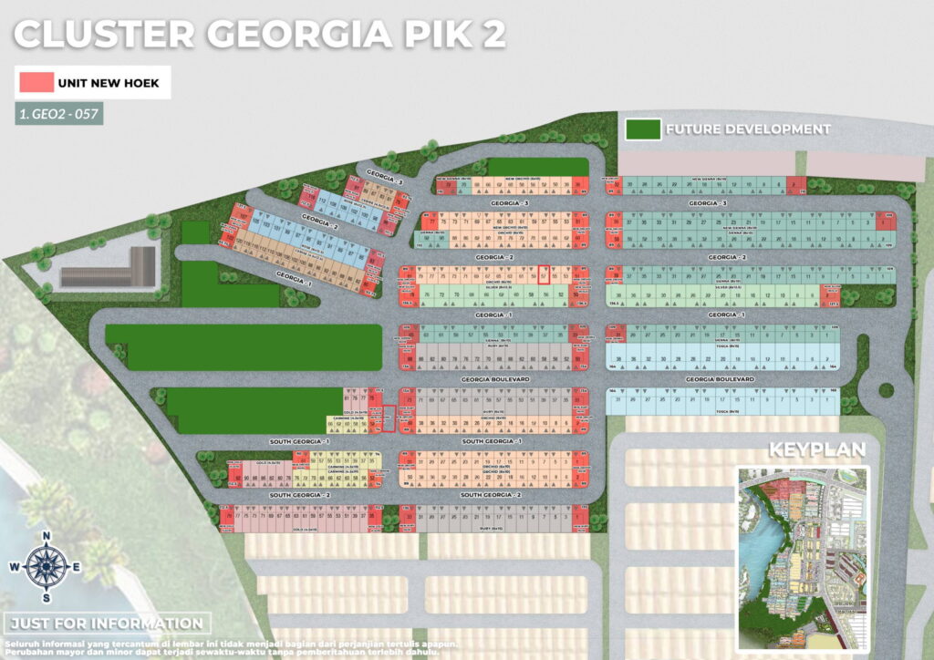 GEORGIA 20250803